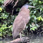 Photo taken by Julie S