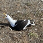 Photo taken by Rahul S