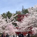 Photo taken by Marianne O