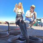 Photo taken by Katy T