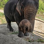 Photo taken by Amber S