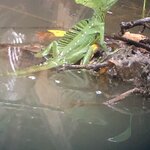 Photo taken by Anna L