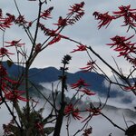 Photo taken by Brett F