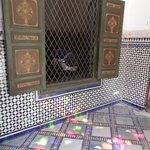 null | Photo taken by Wayne P