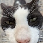 Photo taken by Elin T