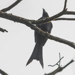 Photo taken by Graham D