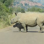 Photo taken by Linette B