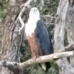 Photo taken by Paul B