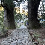 Photo taken by Daniel D