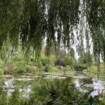 Photo taken by Queenie C