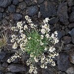 Photo taken by Denise H