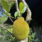 Photo taken by Lisa C