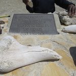 Photo taken by Kristin M