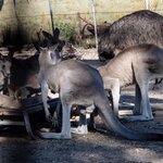 Photo taken by Linnaea M