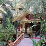 Photo taken by Pip S