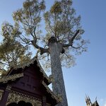 Photo taken by Debra Z