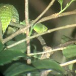 Photo taken by ted m