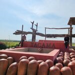 Photo taken by Jeanette C