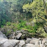 Photo taken by Cynthia W