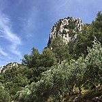 Hiking views | Photo taken by Jennifer F