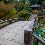 Photo taken by Jessica R