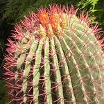 Photo taken by Mark L