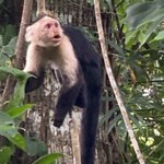 Photo taken by Roveen B