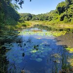 Photo taken by Camille S