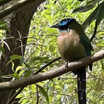 Photo taken by Charles H