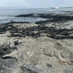 Photo taken by Mark A