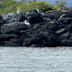 Photo taken by Gary W