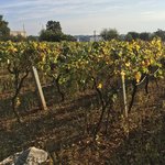 Photo taken by Richard F