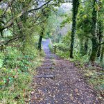 Photo taken by David L