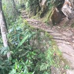 So well laid out | Photo taken by Matt M