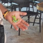 Photo taken by Claudia S