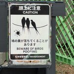 Photo taken by Beverly G