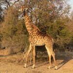 Photo taken by Tom B