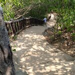 Photo taken by Janice D