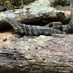 Photo taken by Anna L