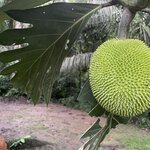 Photo taken by Kara H