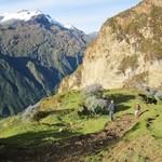 Decending Through the Lupine forest of Day 4 | Photo taken by Jennifer S