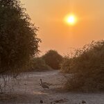 Photo taken by Paul B