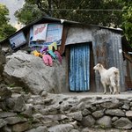 Photo taken by Tyler W