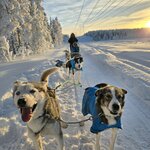 Photo taken by Anna P