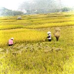 Photo taken by Colin M