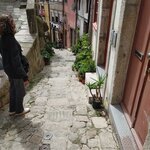 Photo taken by George N