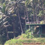 Photo taken by Laurence S