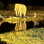 Photo taken by Joaquin M