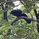 Photo taken by Don P