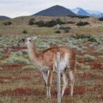 Photo taken by Jananee J